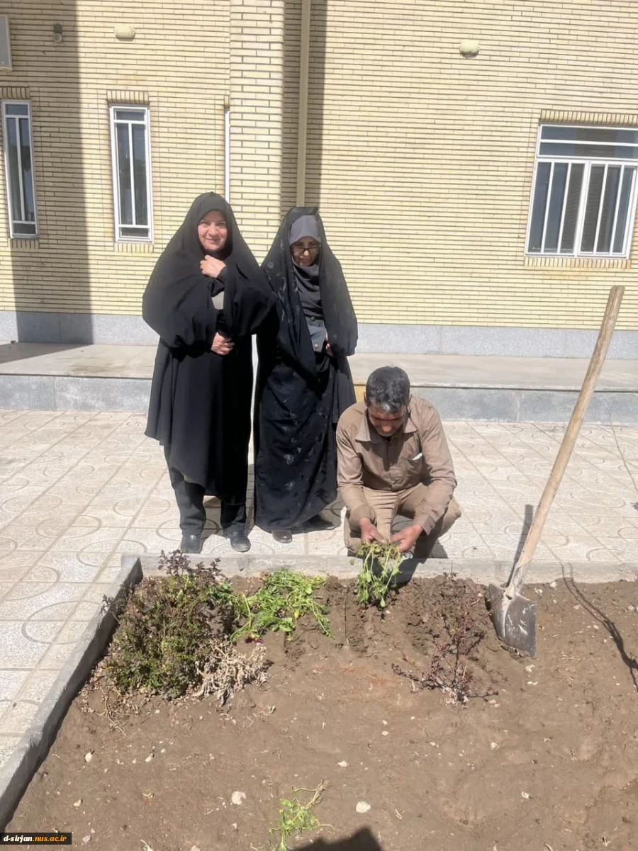 هفته درختکاری
