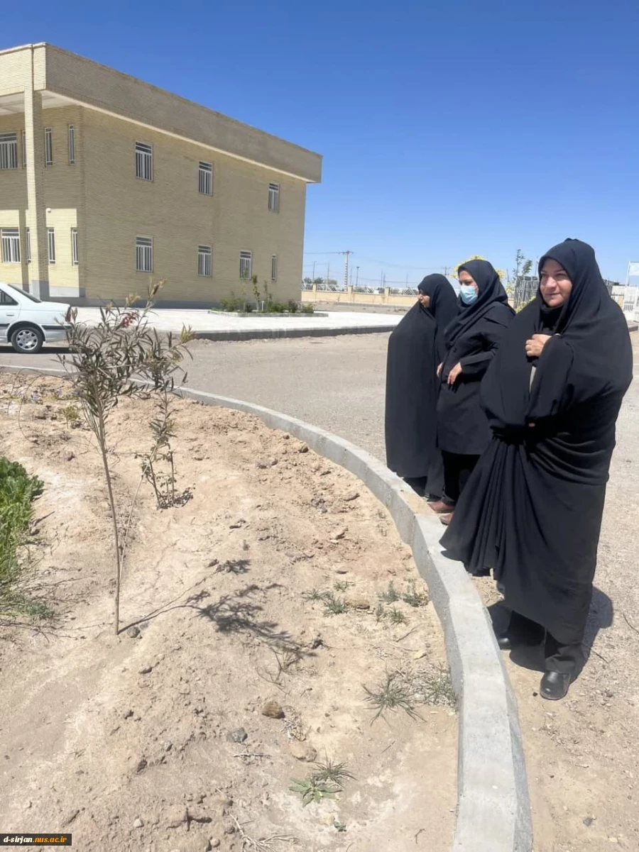هفته درختکاری